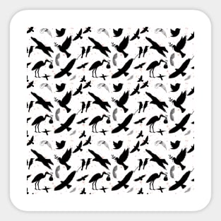 Black and White Bird Pattern Sticker